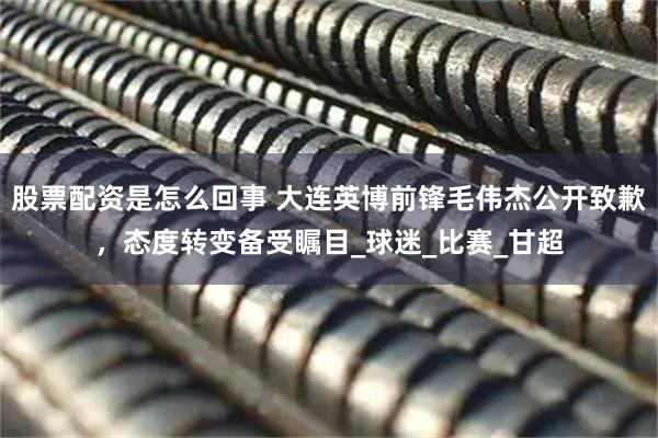 股票配资是怎么回事 大连英博前锋毛伟杰公开致歉，态度转变备受瞩目_球迷_比赛_甘超