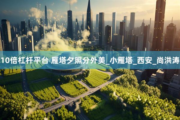 10倍杠杆平台 雁塔夕照分外美_小雁塔_西安_尚洪涛
