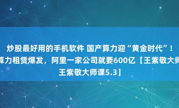 炒股最好用的手机软件 国产算力迎“黄金时代”!千亿级算力租赁爆发,阿里一家公司就要600亿【王紫敬大师课5.3】